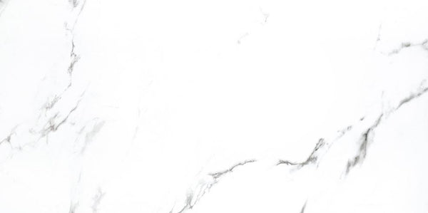 CARRARA X - MATTE 12 x 24