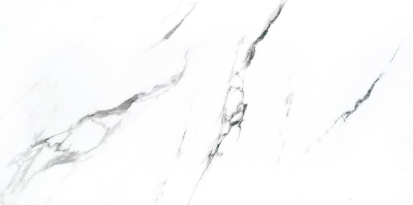 CARRARA X - MATTE 12 x 24