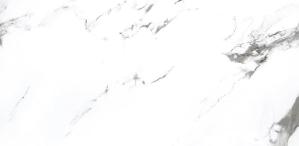 CARRARA X - MATTE 12 x 24