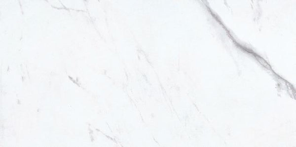 GOYA - POLISHED 12 X 24