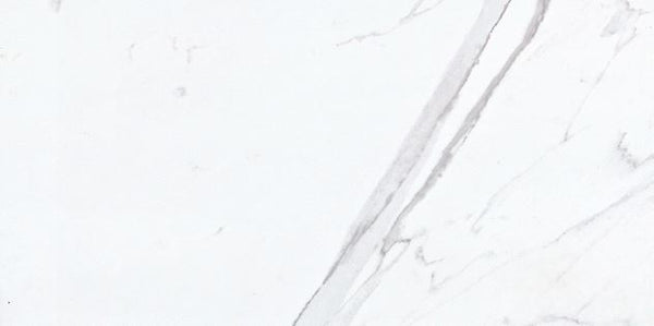 GOYA - MATTE 24 X 48
