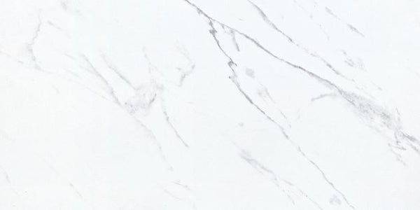 GOYA - MATTE 24 X 48