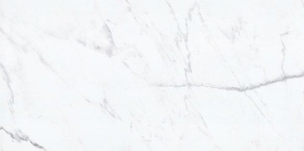 GOYA - POLISHED 12 X 24