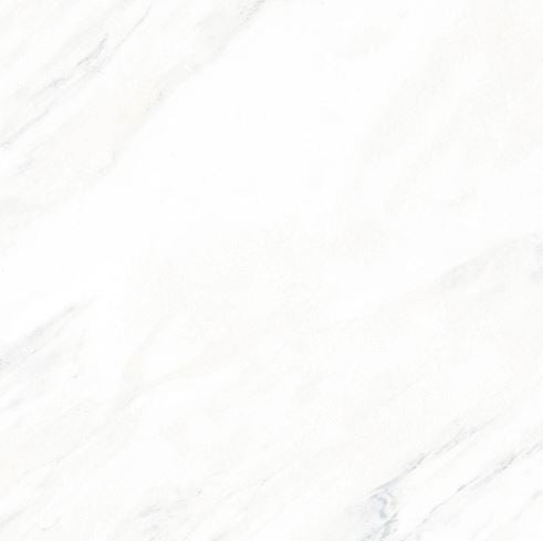 PALISSANDRO - WHITE 24 X 24