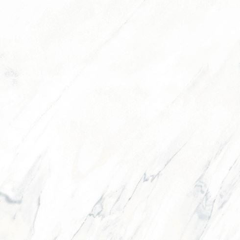 PALISSANDRO - WHITE 24 X 24