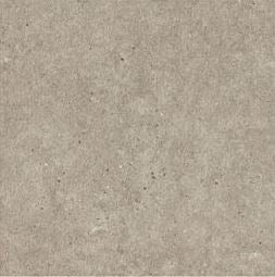 PROJECTION - SILVER 12 X 24