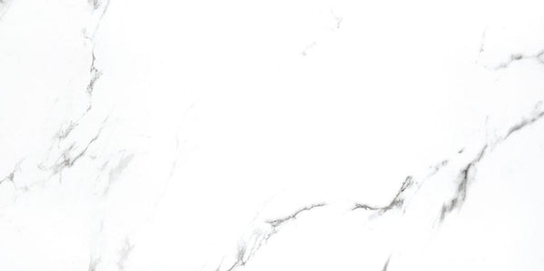 STATUARIO X - POLISHED 24 X 24