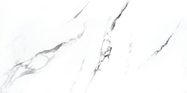 STATUARIO X - POLISHED 24 X 24