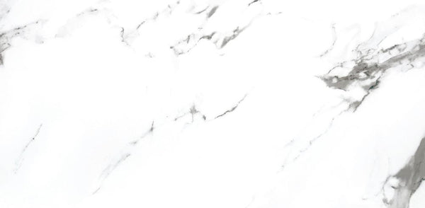 STATUARIO X - POLISHED 24 X 24