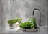 products/pierre_gray_installation.JPG